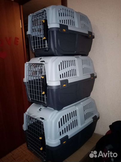 Переноски новые пластСкудо 1: 2:3 Продажа Аренда