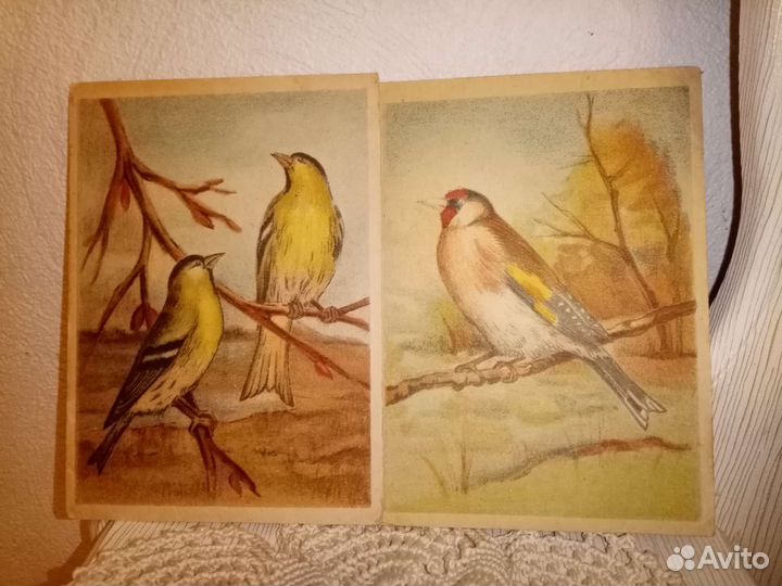 Открытки Зарубина и др.авторов, 1951-89гг