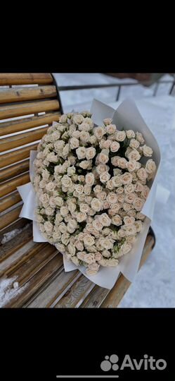 Кустовые розы