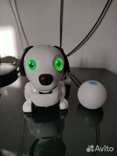 Собака робот