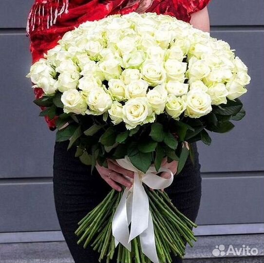 Высокие розы Гигантские Розы 150 160 170 180 190см