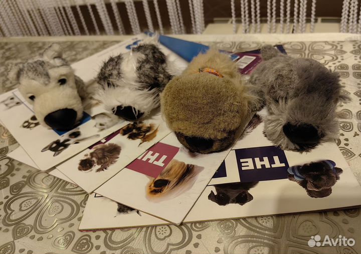 The dog collection