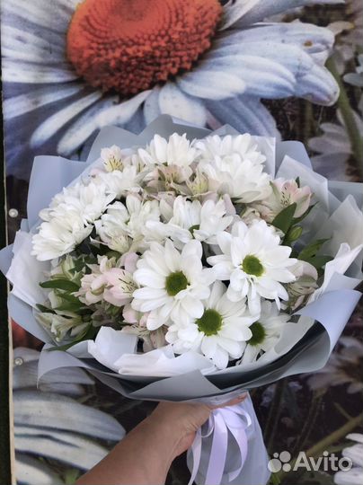 Букет с ромашками и альстромерией