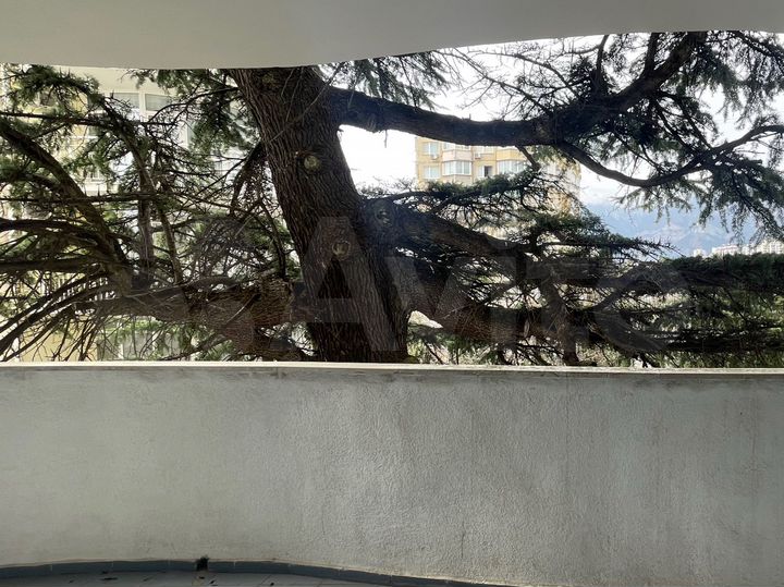 Квартира-студия, 25 м², 5/16 эт.