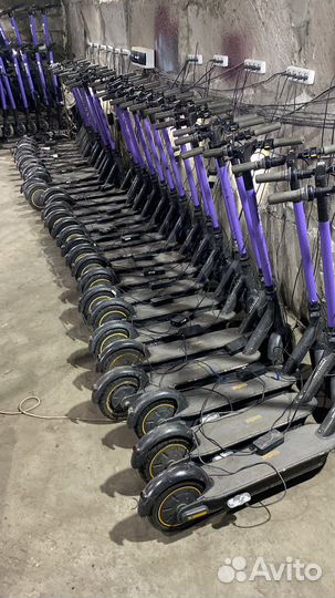 Элект.сам-ты Ninebot G30 (готовый бизнес) 160шт