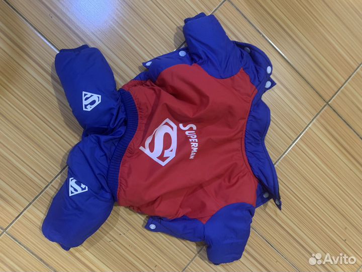 Одежда для собак мелких пород