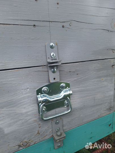 Альпийский улей