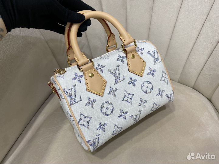 Сумка Louis Vuitton Speedy 20