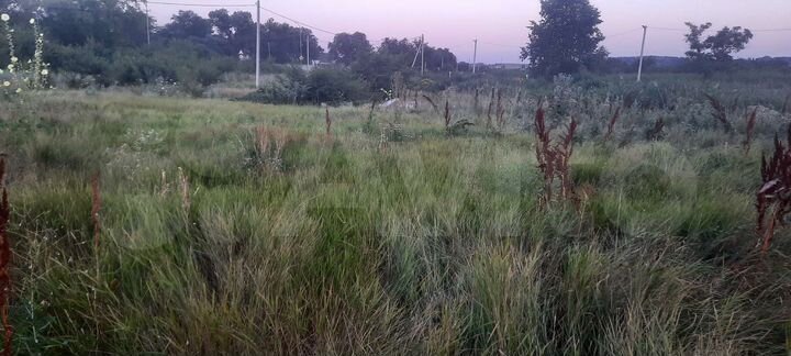 Участок 10 сот. (ИЖС)