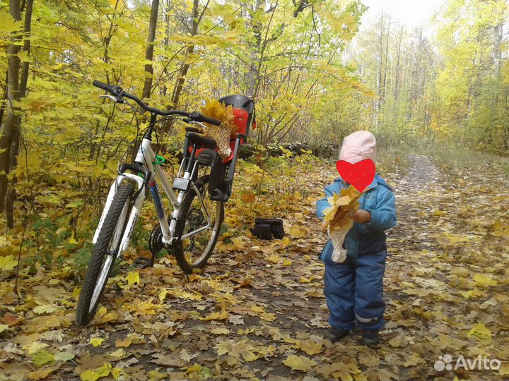 Детское велокресло Hamax smiley