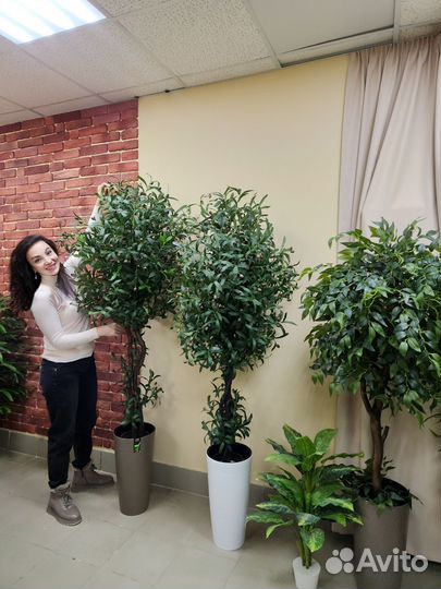 Манго цветок деревья искусственные домой