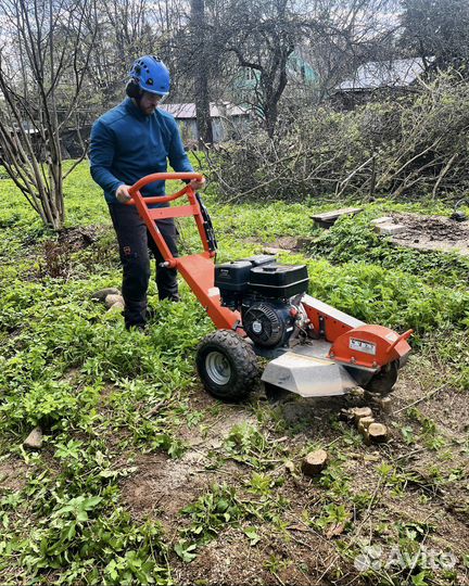 Спил деревьев