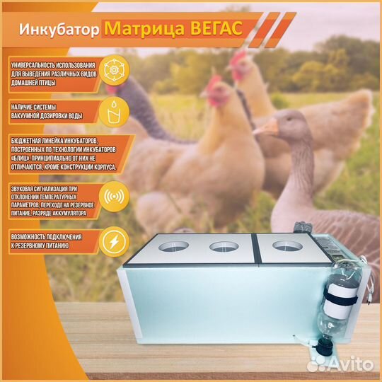 Инкубатор Блиц Матрица Вегас
