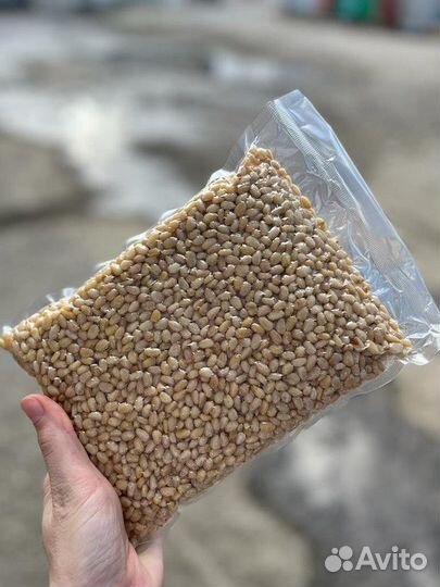 Кедровый орех высший сор