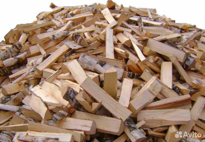 Дрова береза