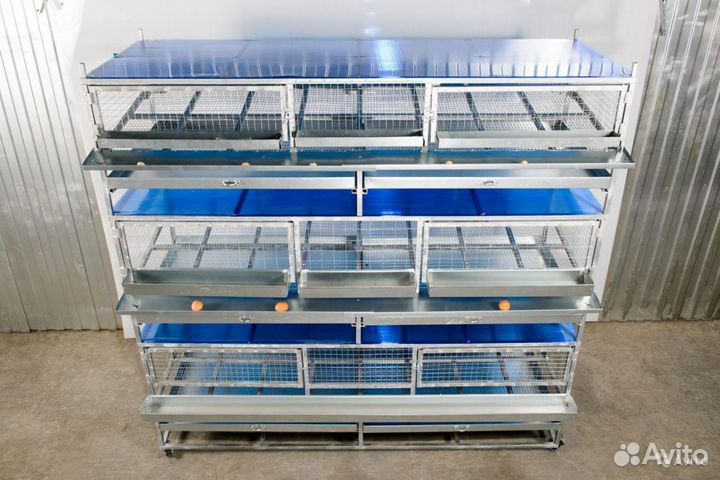 Клетки для перепелов