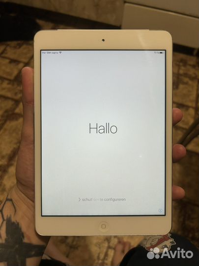 iPad mini A1455