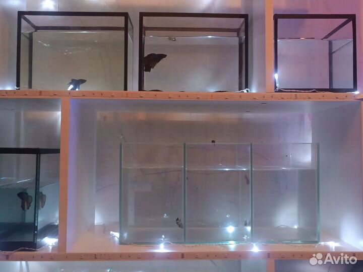 Аквариумы и грунт