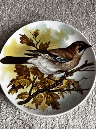 Тарелка настенная СССР птицы «Сойка»