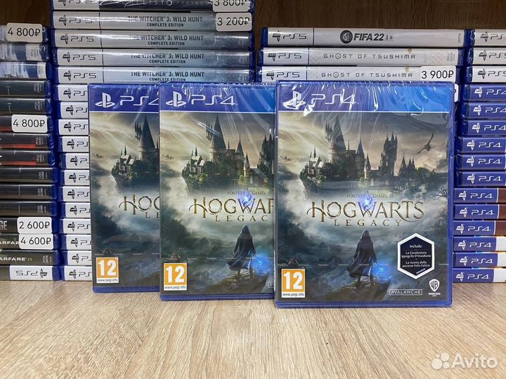 Hogwarts Legacy PS4/PS5