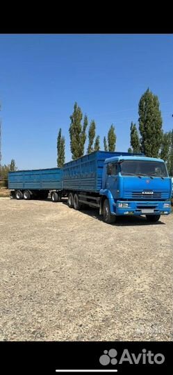 КАМАЗ 65117, 2008