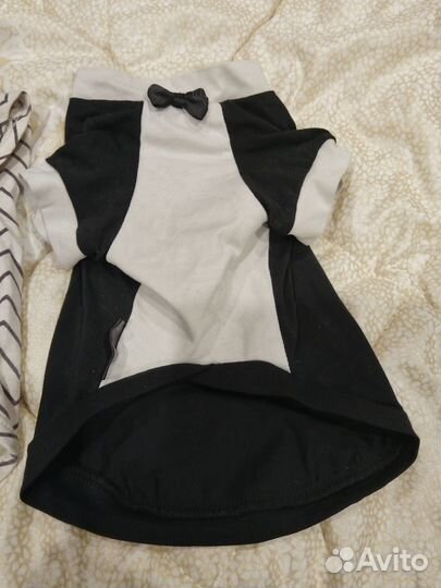 Одежда для любимцев