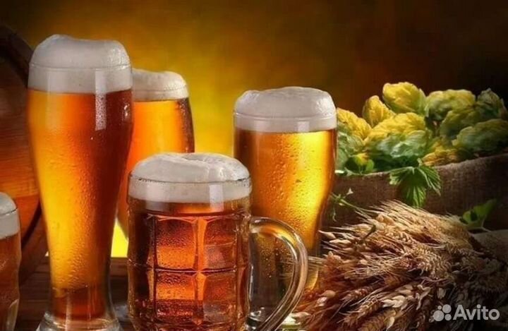 Продавец в магазин разливного пива