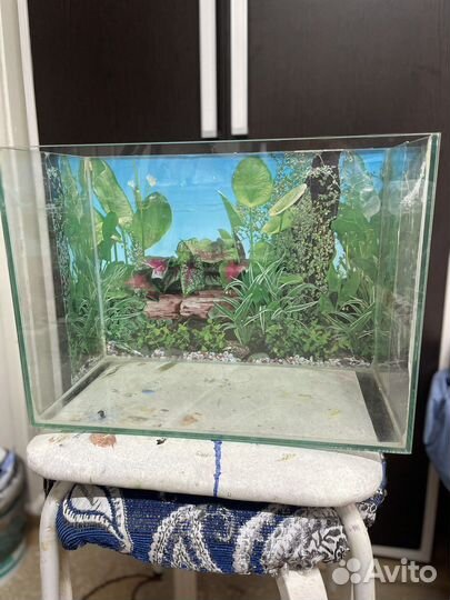 Аквариум 15л