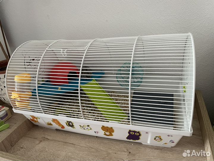 Джунгарский хомяк с клеткой