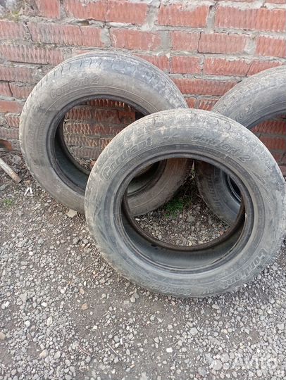 Летняя резина r15