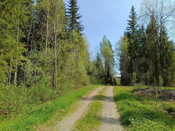 Участок 6 сот. (СНТ, ДНП)