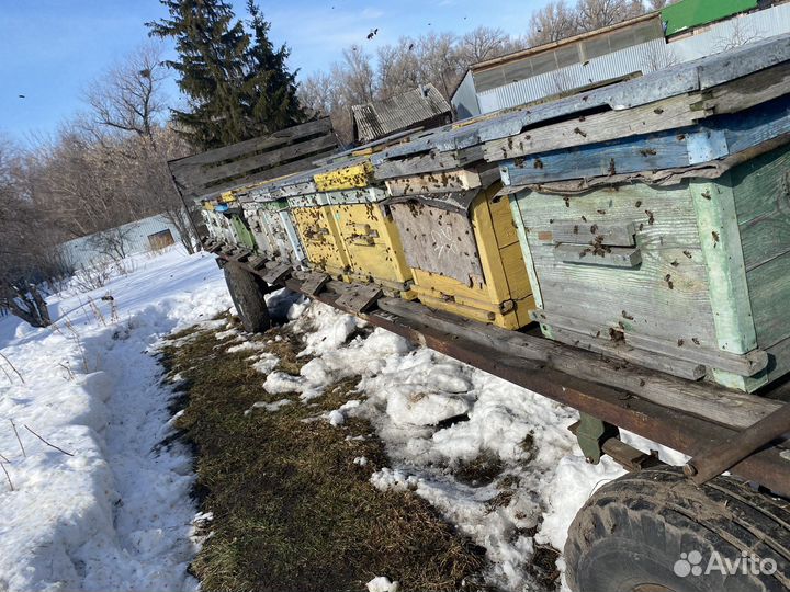 Прицеп. Прицеп для пчел