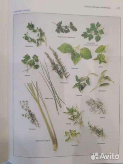 Кулинария. Бетти Крокер