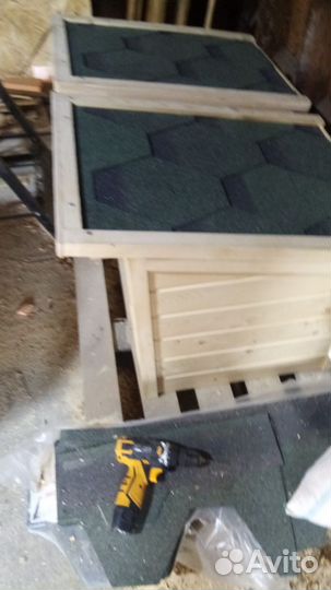 Собачья будка