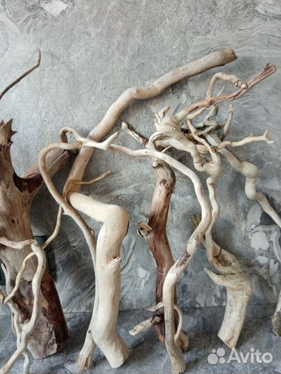 Дрифтвуд(красивые коряги)