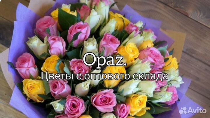 Букет из 51 розы