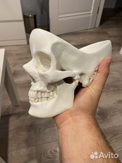 Органайзер