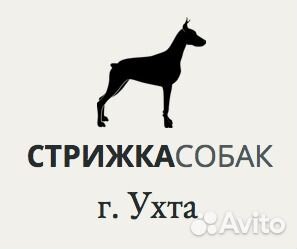 Стрижка собак и кошек в Ухте