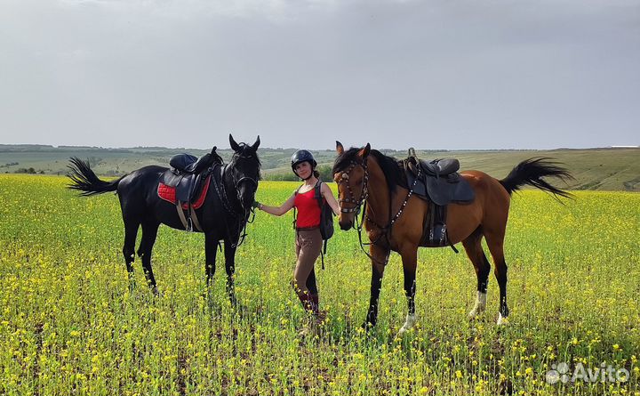Конные туры выходного дня в Волгоградской области