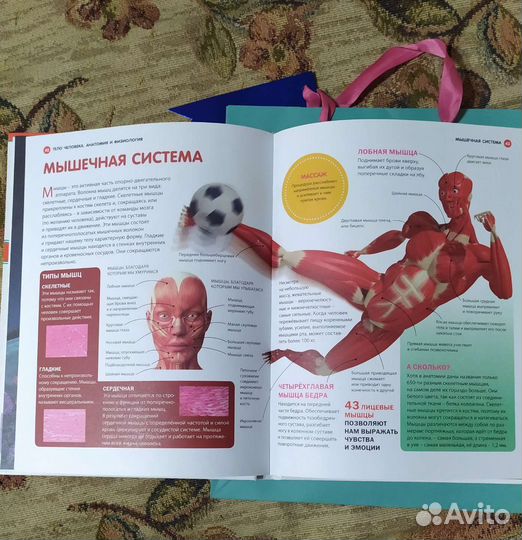 Детская энциклопедия