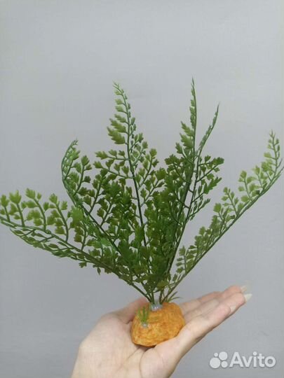 Товары для рептилий