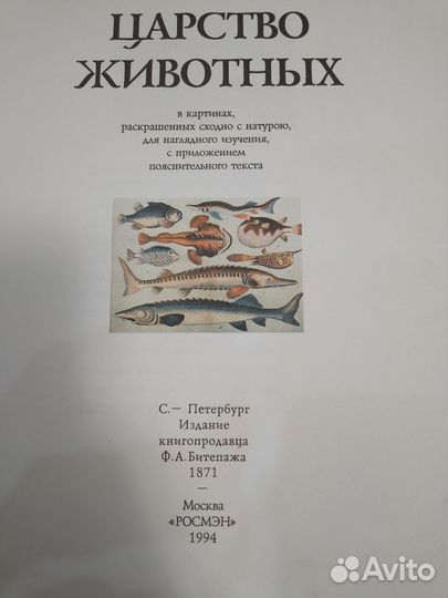 Энциклопедия 