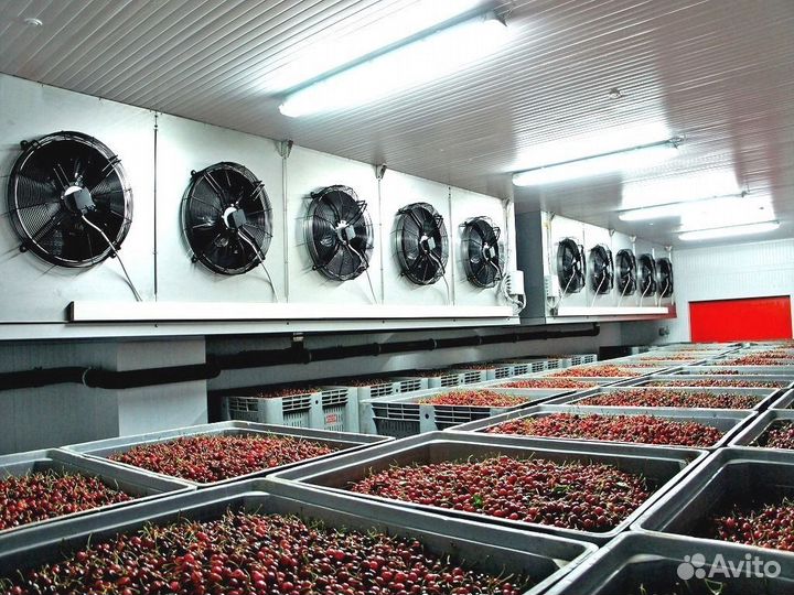 Холодильный склад для хранения овощей, фруктов