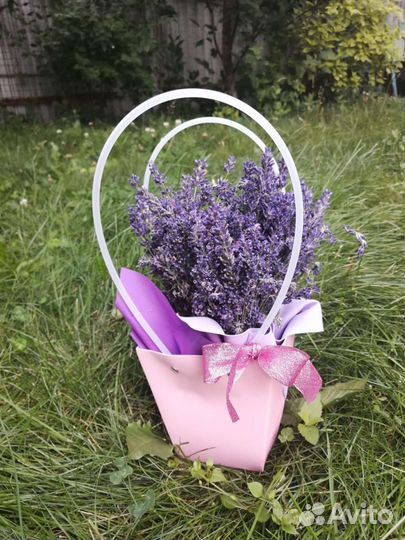 Букет из лаванды