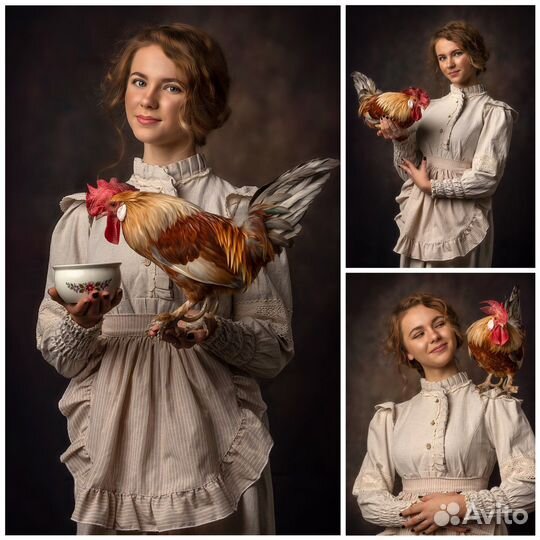 Фотосессия: Петух, курица,гусь,коза