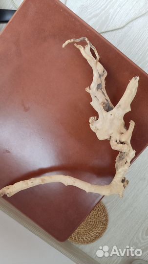 Остатки для аквариума Barbus, Tetra