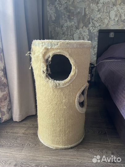 Кошачий домик