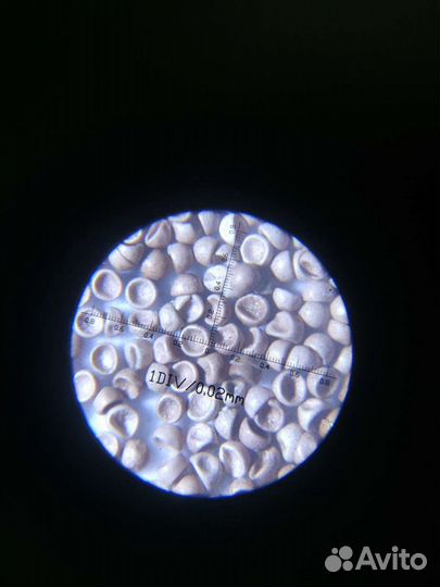 Яйцо рачка Артемия. Циста Артемии. (сухая)