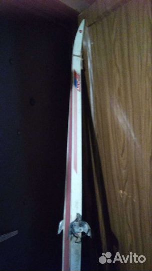 Беговые лыжи