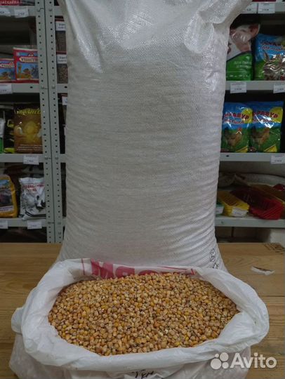 Кукуруза цельная, дробленая
